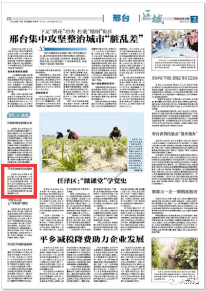 僵尸猎人赏金大赛